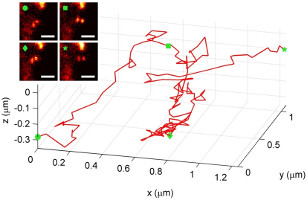 The double-helix microscope: 3D precision measurements and its tracking applications